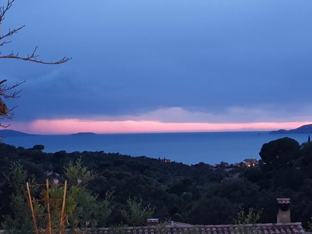 Les Restanques Du Sud Apartment Le Lavandou