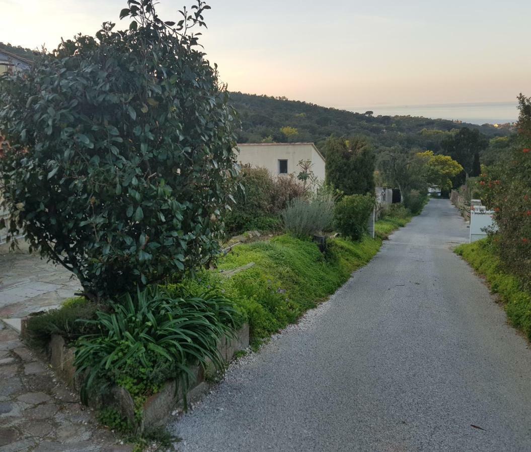 Les Restanques Du Sud * Le Lavandou