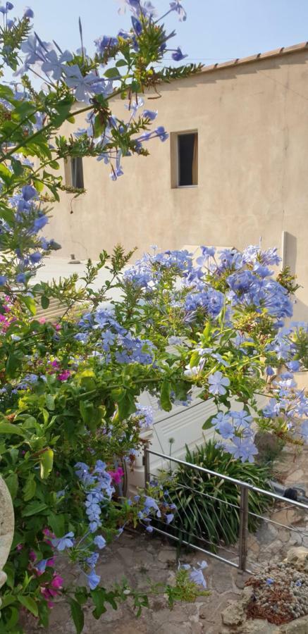 Les Restanques Du Sud * Le Lavandou